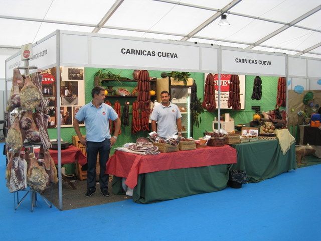 Galeria