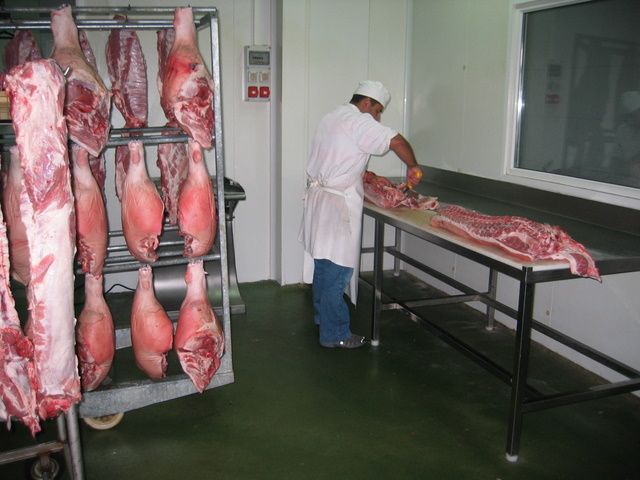 Galeria de Productos Frescos