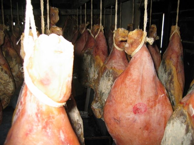 Galeria de Productos Elaborados