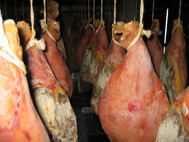 Galeria de Productos Elaborados