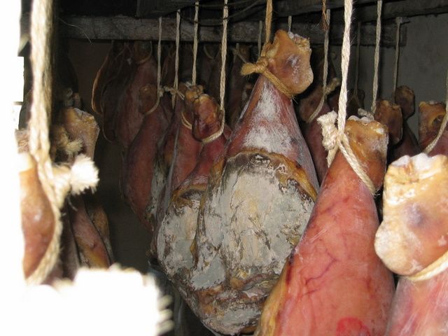 Galeria de Productos Elaborados