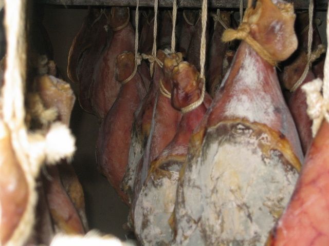 Galeria de Productos Elaborados