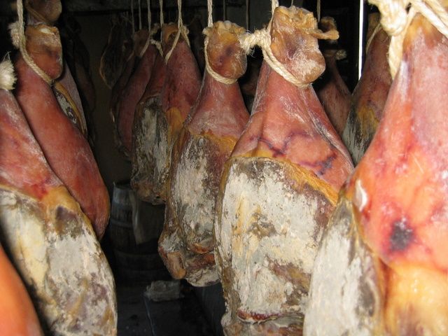 Galeria de Productos Elaborados