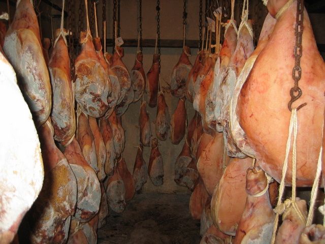 Galeria de Productos Elaborados
