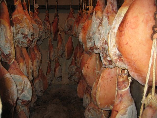Galeria de Productos Elaborados