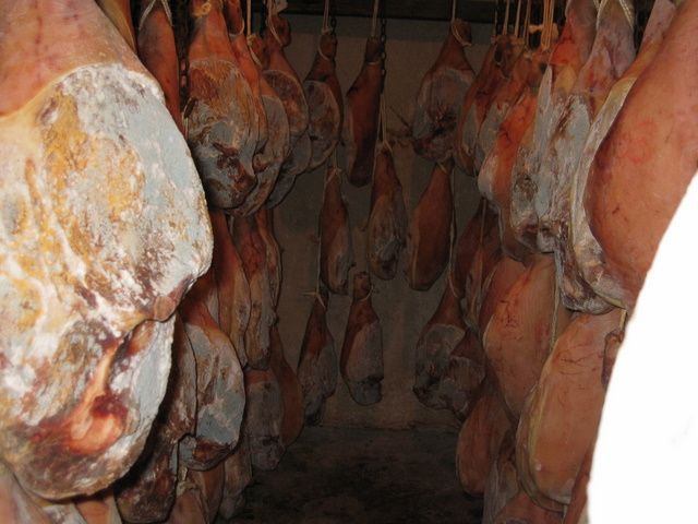 Galeria de Productos Elaborados