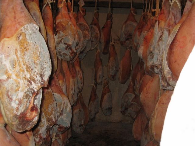 Galeria de Productos Elaborados