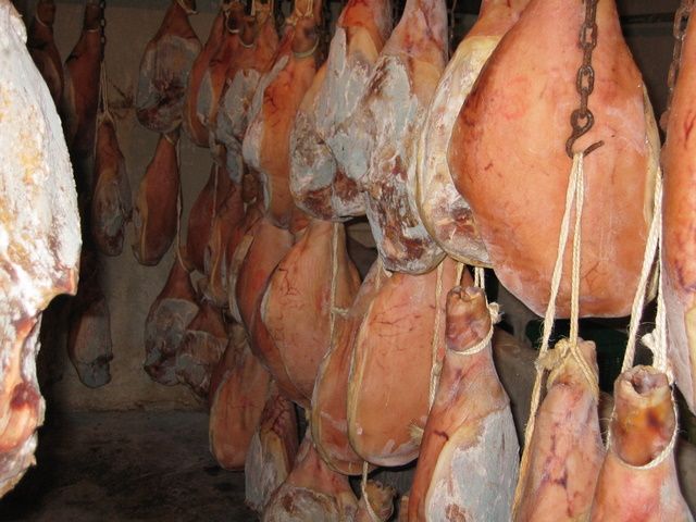 Galeria de Productos Elaborados