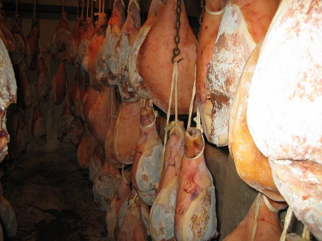 Galeria de Productos Elaborados